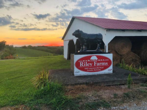Hotels in Alcorn County